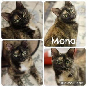 Mona