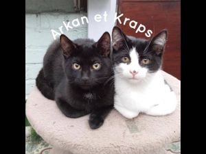 Arkan et Kraps