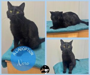 NERO